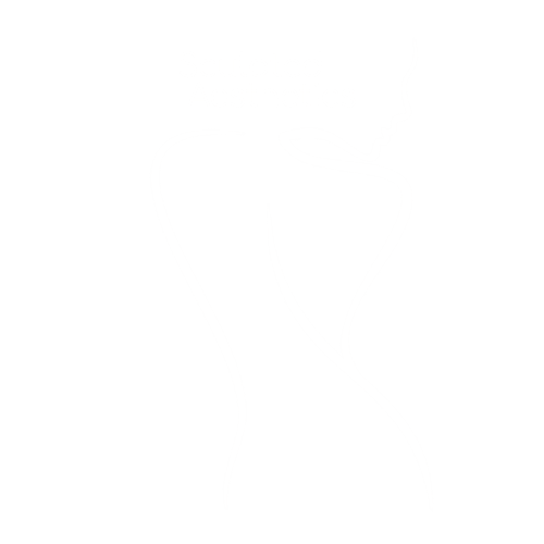 Sculpted Aesthetics Manalapan NJ Logo